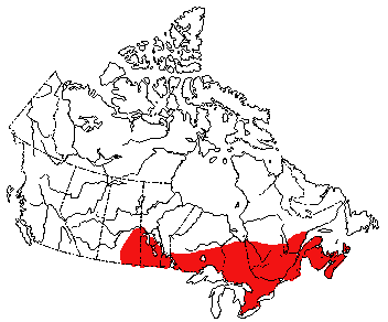 Map of Short-Tailed Shrew in Canada