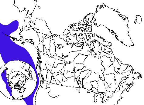 Map of Northern Fur Seal in Canada