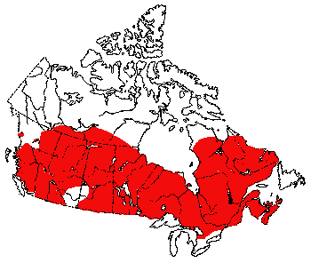 Map of Gapper's Red-Backed Vole in Canada