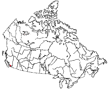Map of Western Red-Backed Vole in Canada