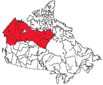 Map of Northern Red-Backed Vole in Canada