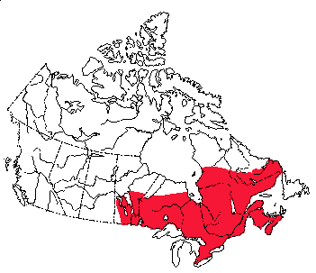 Map of Star-Nosed Mole in Canada