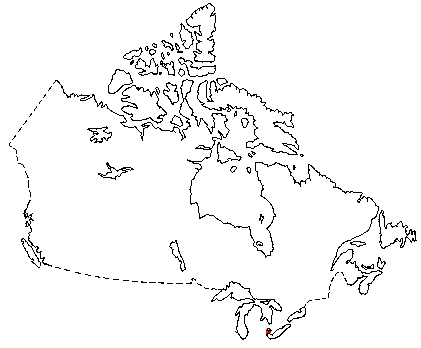 Map of Least Shrew in Canada