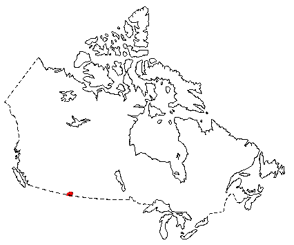 Map of Black-Tailed Prairie Dog in Canada