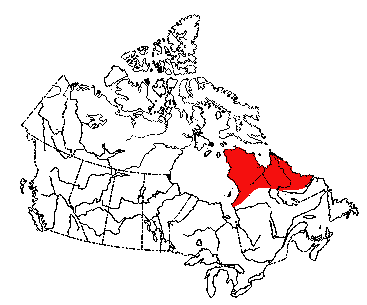 Map of Ungava Lemming in Canada