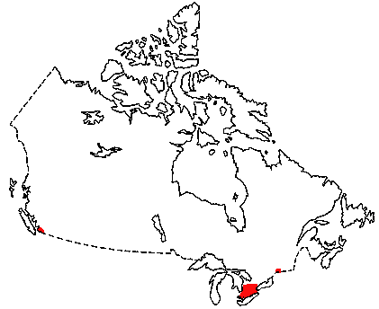 Map of Virginia Opossum in Canada