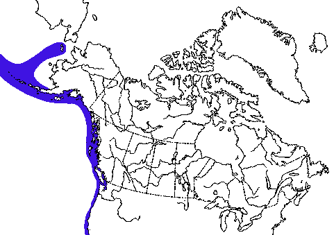 Map of Northern Sea Lion in Canada