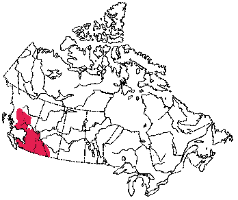 Map of Yellow Pine Chipmunk in Canada
