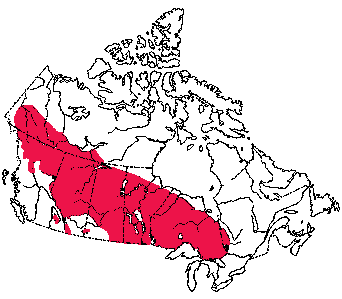 Map of Least Chipmunk in Canada
