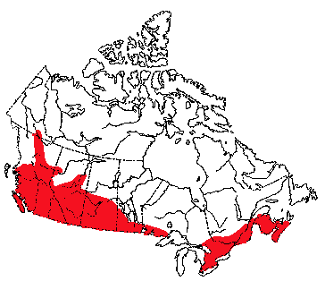 Map of Mountain Lion in Canada