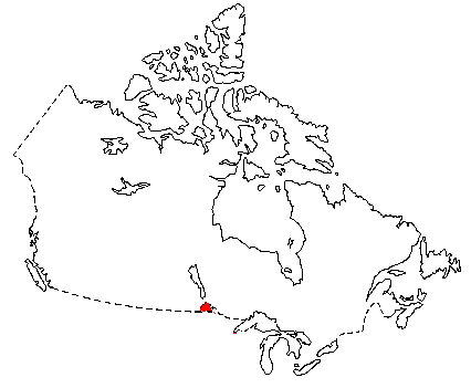 Map of Plains Pocket Gopher in Canada