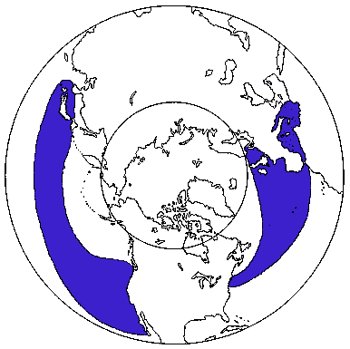 Map of Grey Grampus in Canada