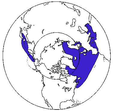 Map of Northern Bottlenosed Whale in Canada