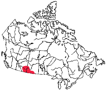 Map of Sagebrush Vole in Canada