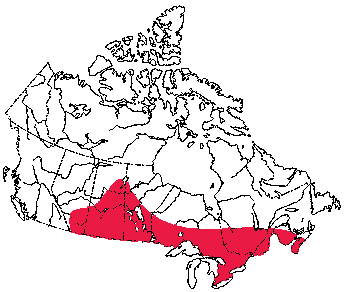 Map of Red Bat in Canada