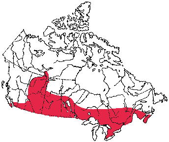 Map of Hoary Bat in Canada