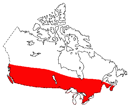 Map of Silver-Haired Bat in Canada