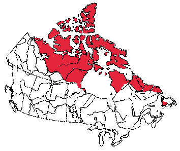 Map of Arctic Hare in Canada