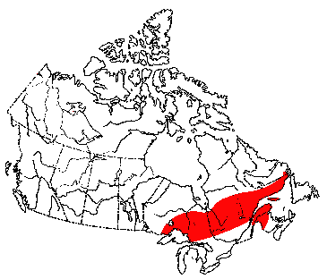 Map of Rock Vole in Canada