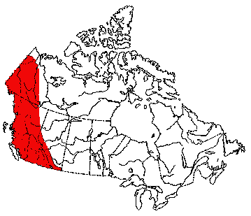 Map of Long-Tailed Vole in Canada
