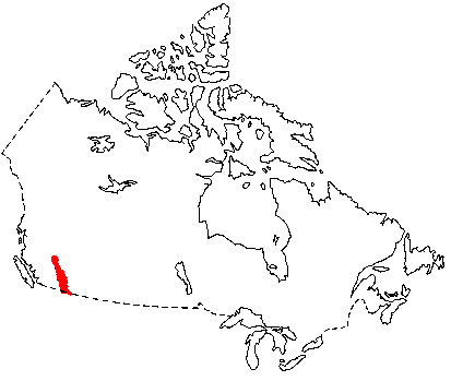 Map of Montane Vole in Canada
