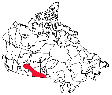 Map of Prairie Vole in Canada