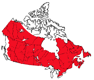 Map of Meadow Vole in Canada