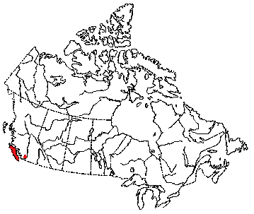 Map of Townsend's Vole in Canada