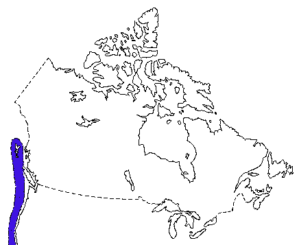 Map of Northern Elephant Seal in Canada