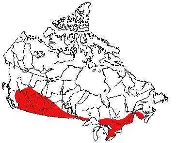 Map of Long-Tailed Weasel in Canada
