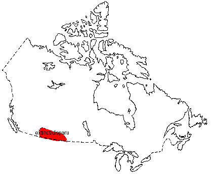 Map of Black-Footed Ferret in Canada