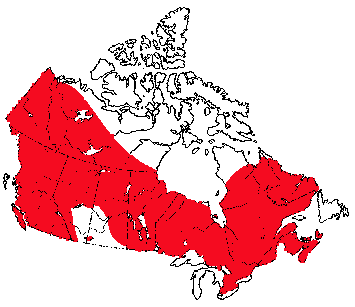 Map of American Mink in Canada