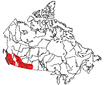 Map of Long-Eared Bat in Canada