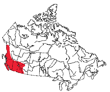 Map of Long-Legged Bat in Canada