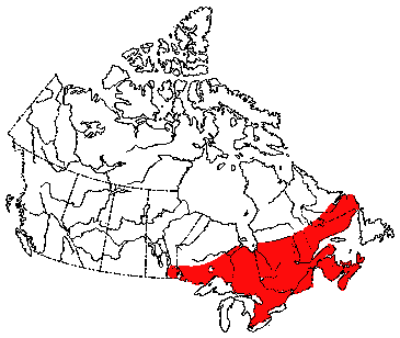 Map of Woodland Jumping Mouse in Canada