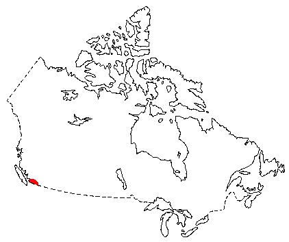 Map of American Shrew-Mole in Canada