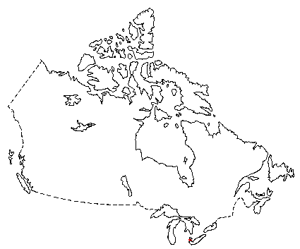 Map of Evening Bat in Canada