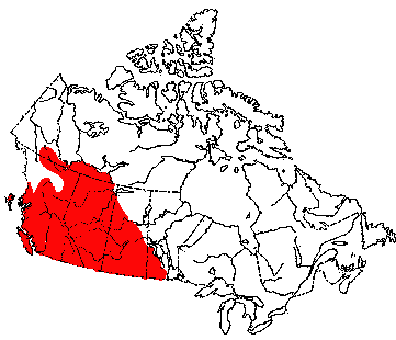 Map of Mule Deer in Canada