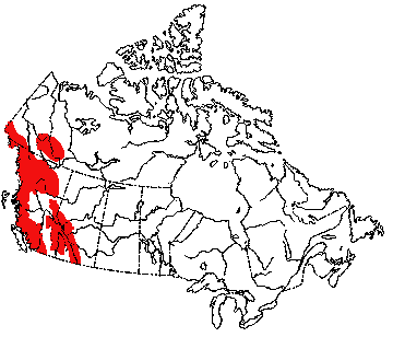 Map of Mountain Goat in Canada