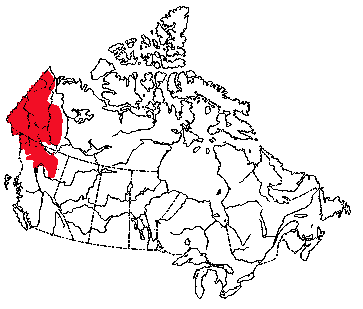 Map of Dall's Sheep in Canada