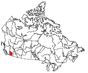 Map of Great Basin Pocket Mouse in Canada