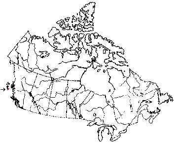 Map of Sitka Mouse in Canada