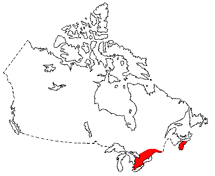 Map of Eastern Pipistrelle in Canada