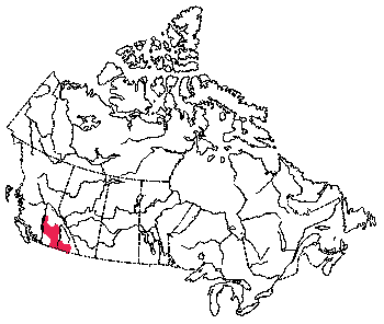 Map of Townsend's Big-Eared Bat in Canada