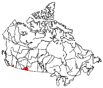 Map of Western Harvest Mouse in Canada