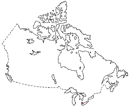 Map of Eastern Mole in Canada