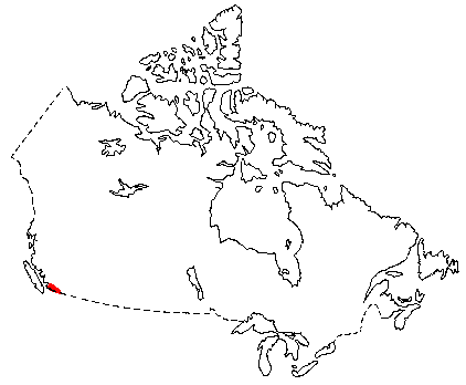 Map of Townsend's Mole in Canada