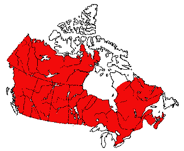 Map of Masked Shrew in Canada