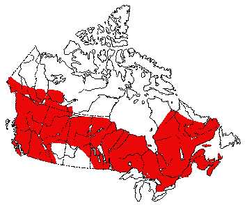 Map of American Water Shrew in Canada