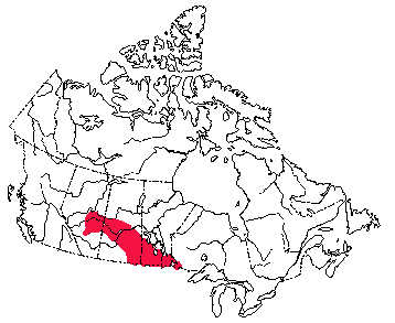 Map of Franklin's Ground Squirrel in Canada